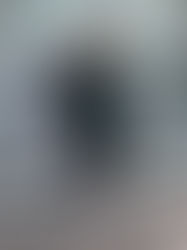 Introducing Dr. Berit Blume