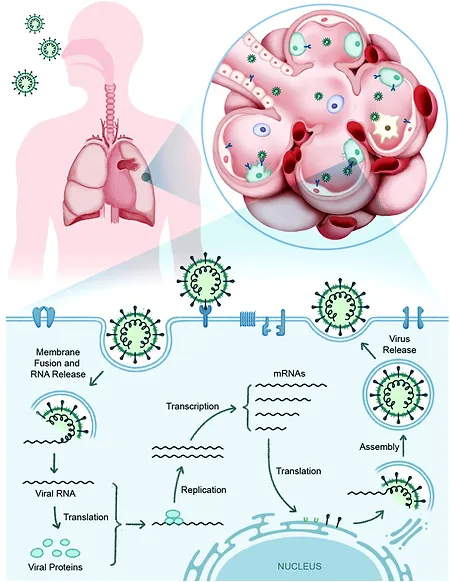 Chemical Biology.webp