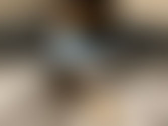 Yorkie Teacup Toronto