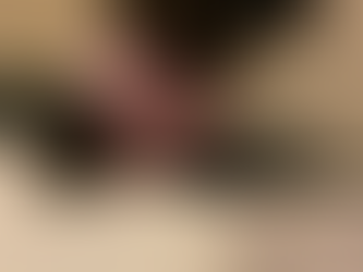 Teacup Yorkie Vancouver