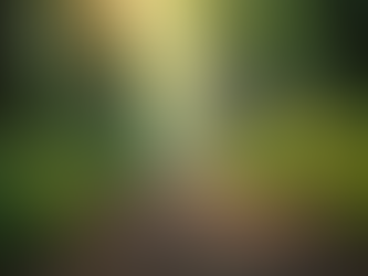 Celebrities and Karma Spells: Learning Life Lessons from the Stars