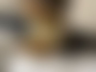 Stud Pup Strut: Theodore the Yorkie’s Canadian Escapades