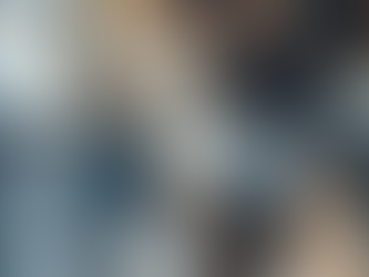 Babydoll Yorkie Calgary