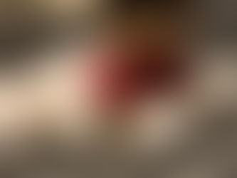 Teacup Yorkie Toronto