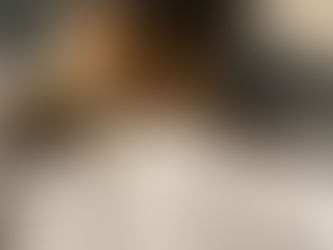 Yorkie Teacup Vancouver