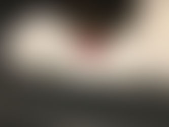 Babydoll Teacup Yorkie Louie is available in Edmonton