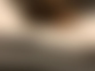 Teacup Yorkie For Sale Vancouver