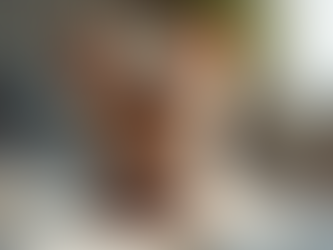 Training and Socialization Tips for Teacup Yorkies: Building Confidence and Good Behavior