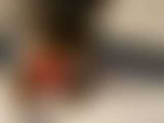 Teacup Yorkie Edmonton