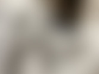 Teacup Yorkie Calgary