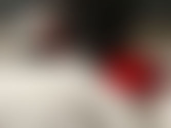 Yorkie Vancouver Teacup