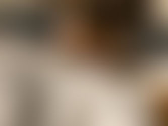 Teacup Yorkie Girl Vancouver