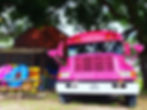 Tubing the Frio River Pink Bus
