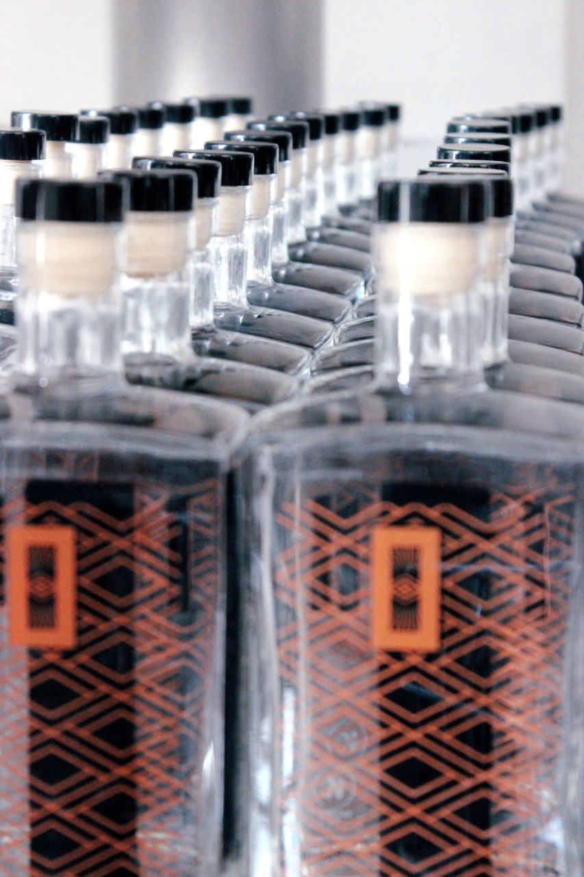 Miniatura: Kit Gin ION