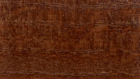 PF 5T05 Green Walnut