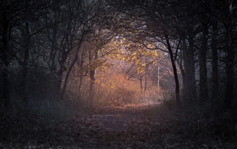 the perilous path