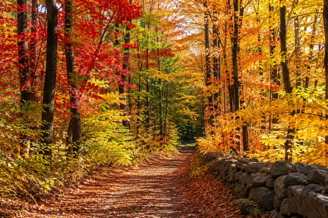 The Meaningful Path