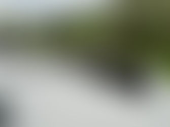 Energies renouvelables. 