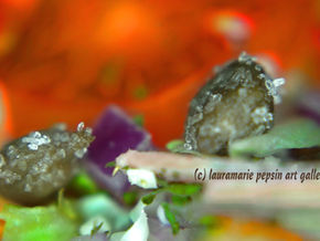 Photos to make you laugh and cry