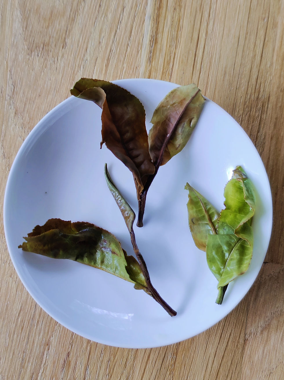 Thumbnail: Seasonal Tea - Ruby 18 Shou Mei White 20g