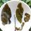 Miniaturbild: Golden Sunshine - High Mountain Milky Oolong
