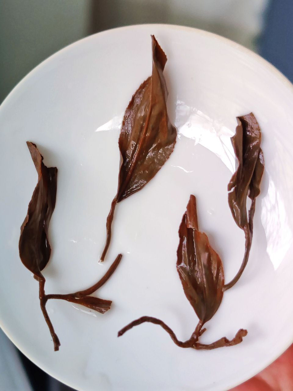 Thumbnail: Seasonal Tea- Hidden Dragon Oolong