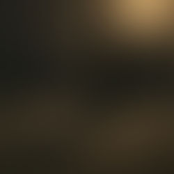 💰 La verità scomoda dopo il successo: quando il motore si spegne