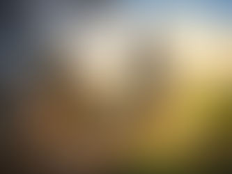 Illustrazione concettuale che rappresenta la differenza tra investire senza strategia e costruire un patrimonio con visione e metodo.