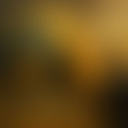 La coperta d’oro: e se il mondo decidesse di rivalutare l’oro?