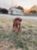 482032995_10171040186895080_1670425827476153825_n