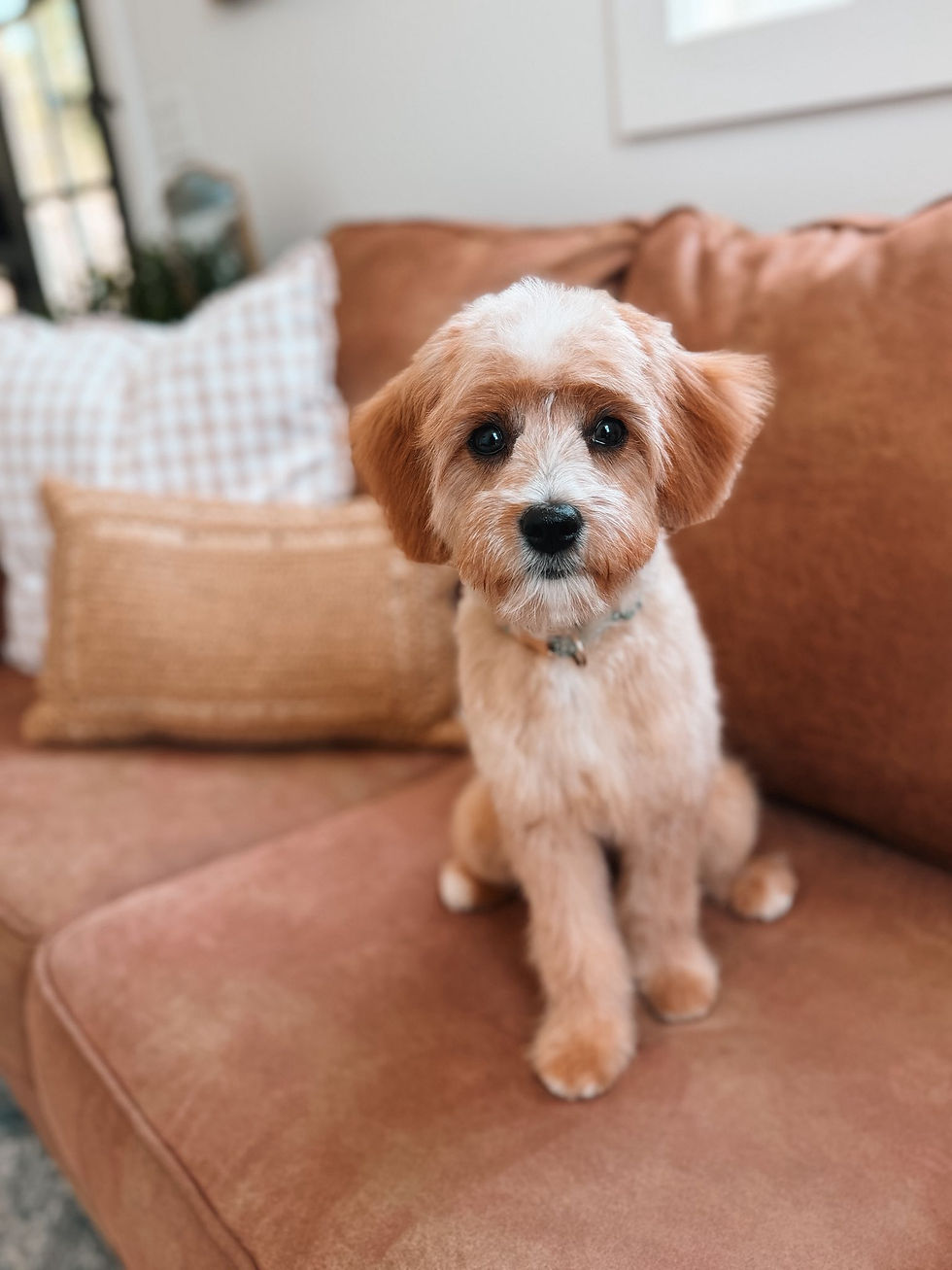 Penny