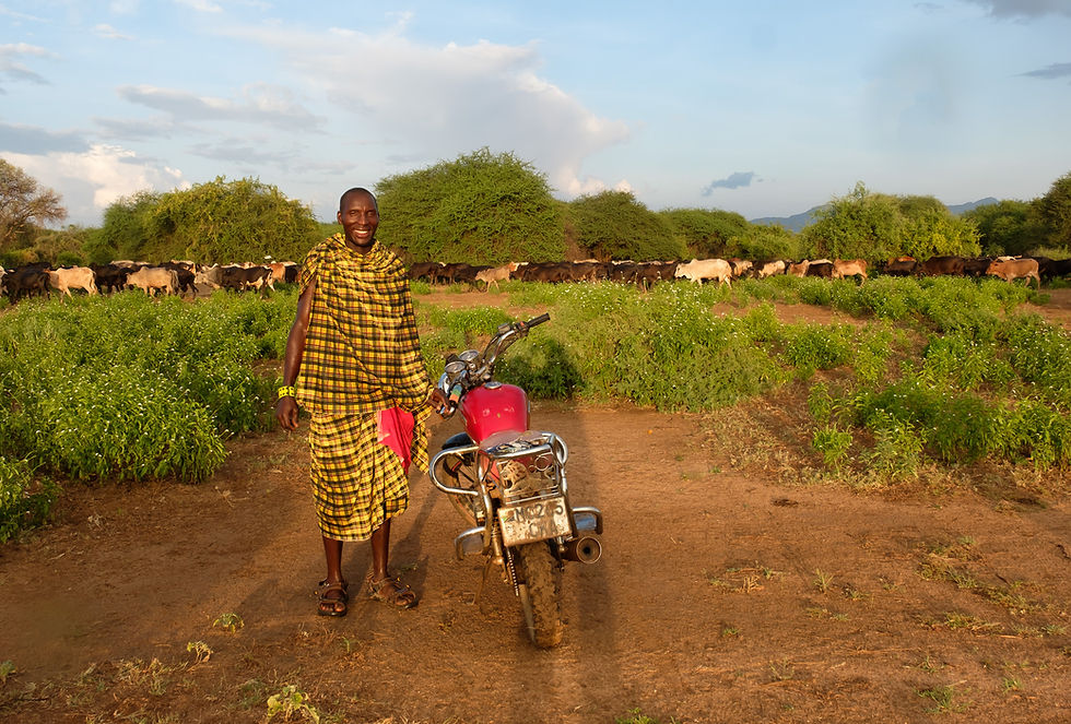 Maasai man on a motorbike in the savanna of Northern Tanzania, traditional red shuka against dry grassland landscape, modern transport in Maasai culture.