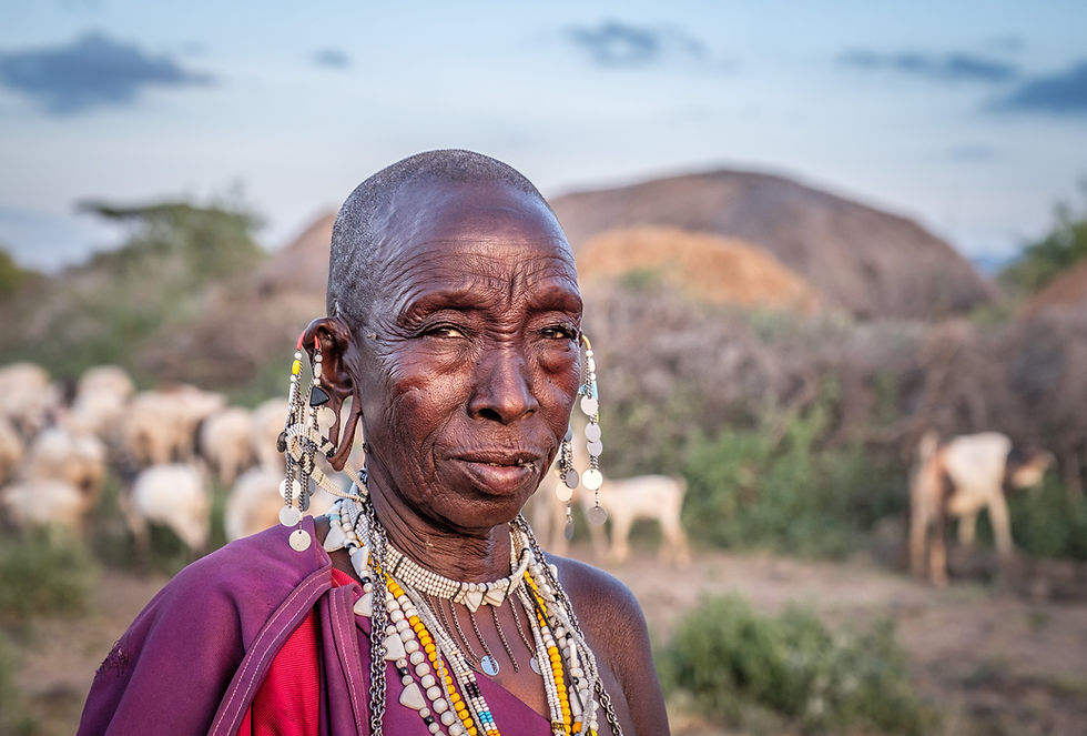 An older Maasai woman in Tanzania and cows
