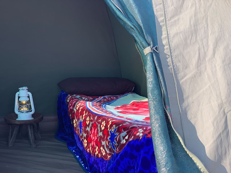 Trekking tent with camping bed set up in the Tanzanian savanna for Maasai and Hadzabe bush homestay experience.