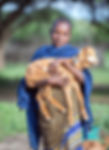 Young Maasai boy wearing a blue shuka, smiling while holding a baby goat in his arms.