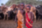 Maasai kids and cows in tanzania in a Maasai village boma