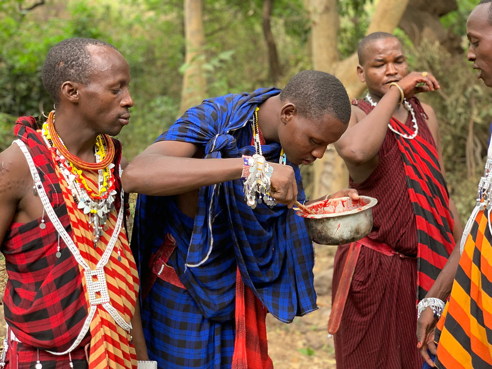 Why Do Maasai Drink Blood? The Truth Behind the Tradition