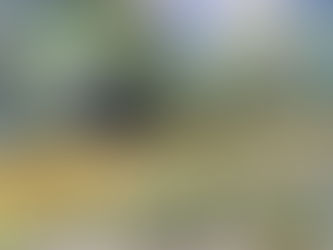 2017 Nanaimo Fine Art Show Award Winners