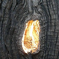 6 light through the cracks.jpg