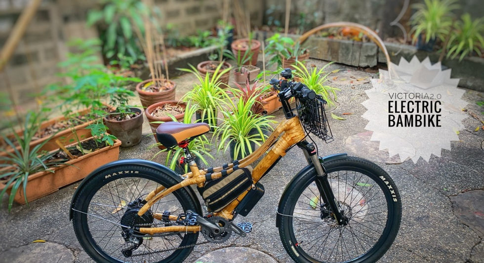 Victoria eBike.jpg