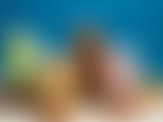 Flavored Milk Market, Size, Share, Growth, Company Analysis ⅼ Forecast (2024 - 2030) ⅼ Renub Research