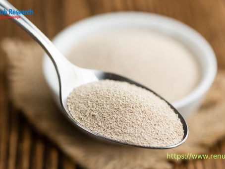 Yeast Market Surpasses US$ 6.04 Billion in 2023, Projected to Expand at 8.61% CAGR through 2030 ⅼ Renub Research