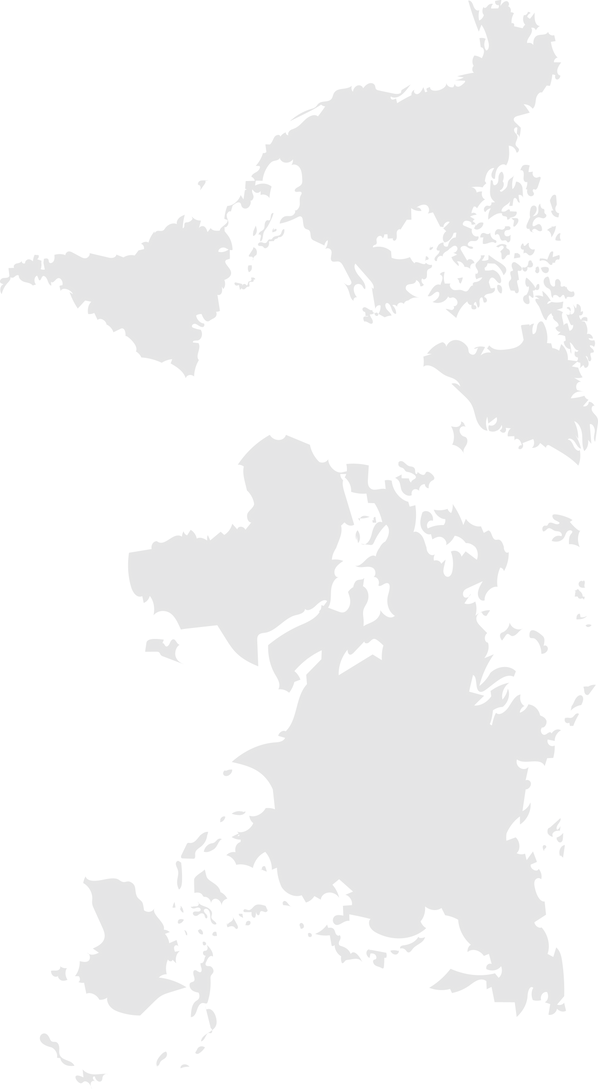 карта мира серая полупрозрачная.png