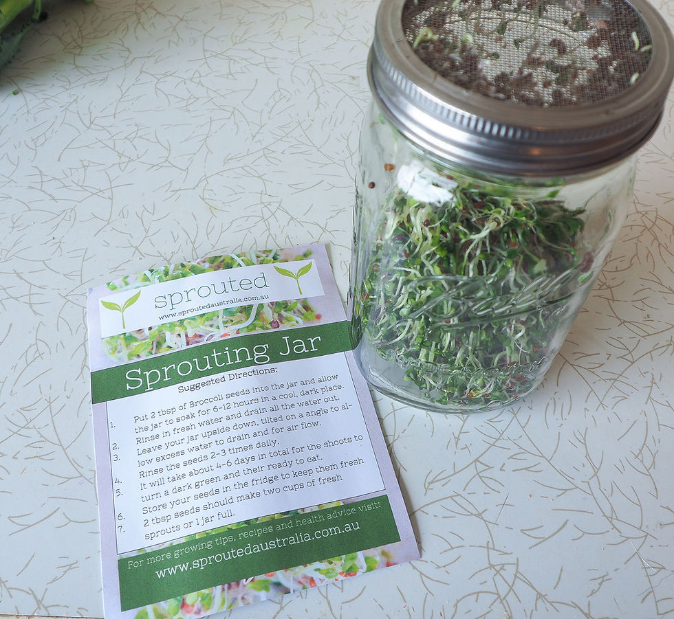 Thumbnail: 2 x 1000ml Sprouting Jar, Draining Lid and Foldable Rack