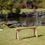 Thumbnail: Kobo Bench