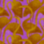 flamantrose-orange-violet-carré