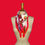 Miniature : FOULARD OISEAUX EXOTIQUES - ROUGE & BLANC 100% SOIE