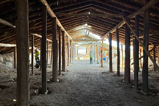 Root Cellar2.jpg