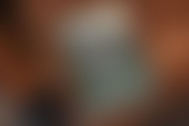 Monthly Book Review: Kleinkopf Diary