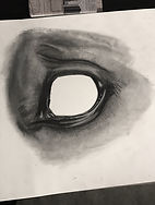 IMG_0020_edited.jpg